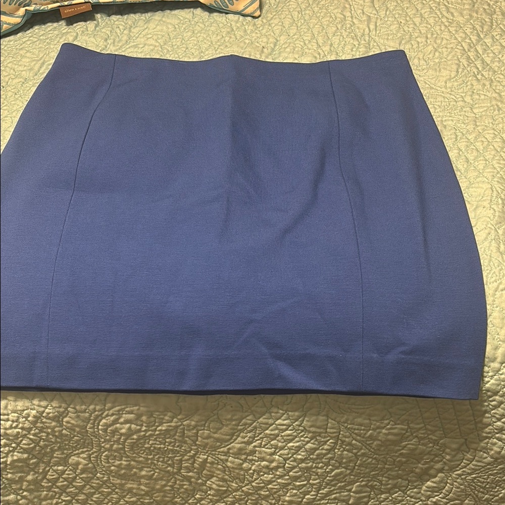 New Ann Taylor Skirt